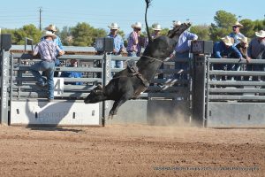 2015 Finals Futurity Champion What It Is